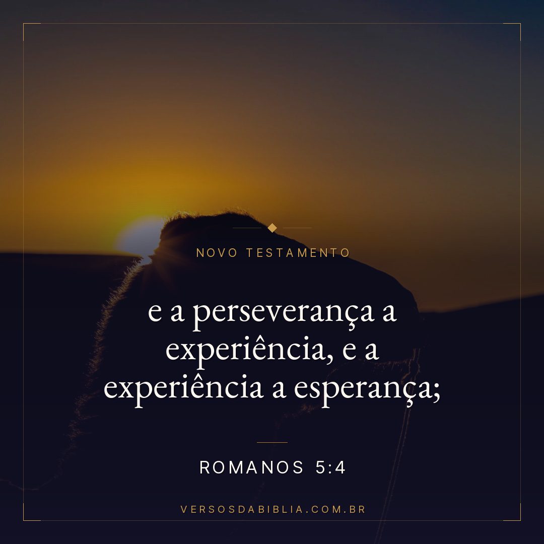 e a perseverança a experiência, e a experiência a esperança;