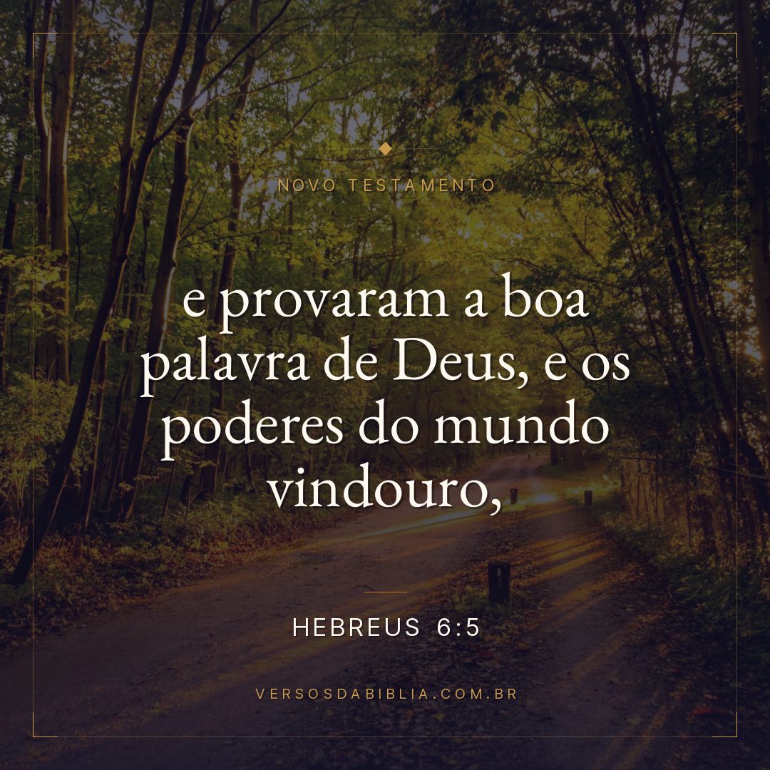 e provaram a boa palavra de Deus, e os poderes do mundo vindouro,