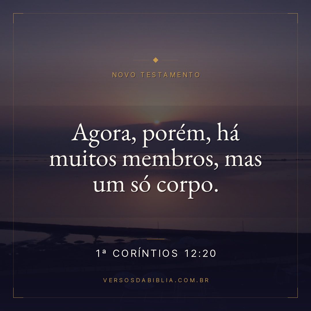 Agora, porém, há muitos membros, mas um só corpo.