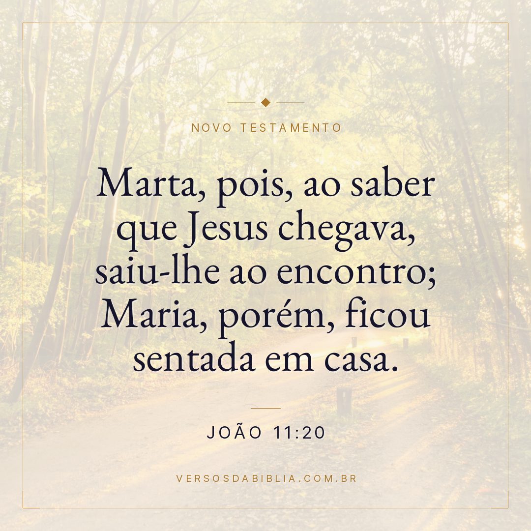 Marta, pois, ao saber que Jesus chegava, saiu-lhe ao encontro; Maria, porém, ficou sentada em casa.