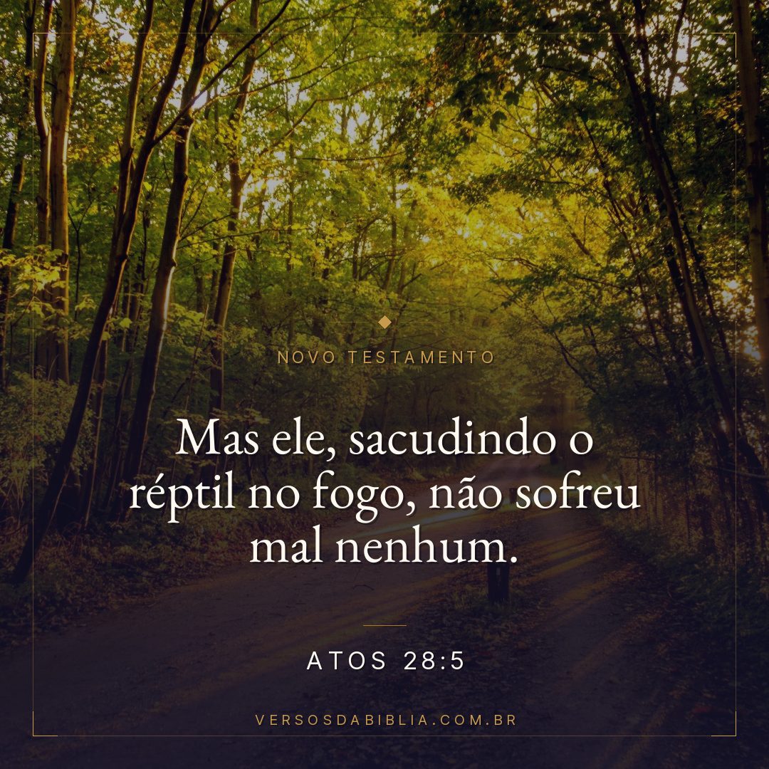 Mas ele, sacudindo o réptil no fogo, não sofreu mal nenhum.