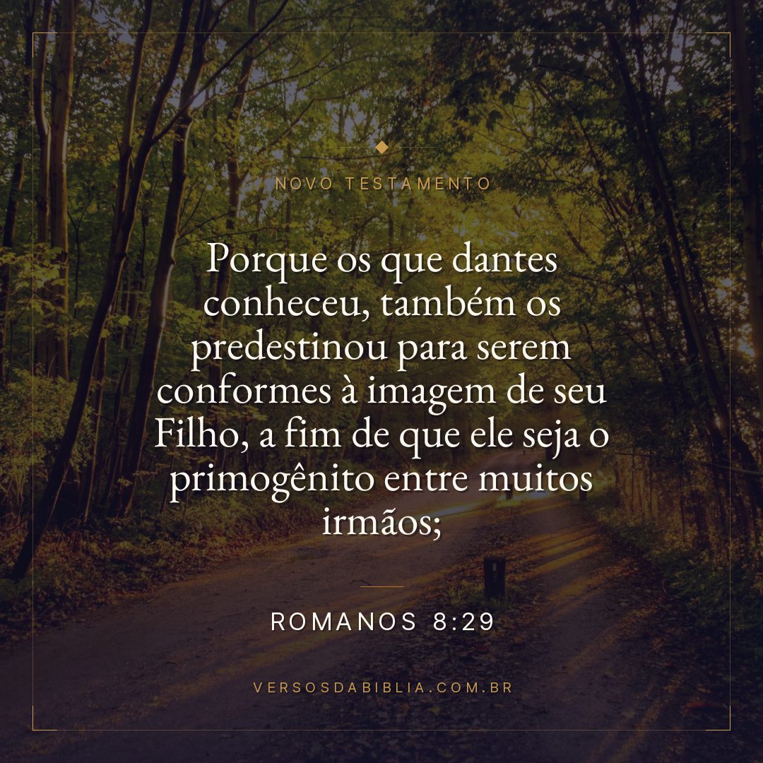 Romanos 8:29 — Porque os que dantes conheceu, também os predestinou para serem conformes à imagem de seu Filho, a fim de que ele seja o primogênito entre muitos irmãos;