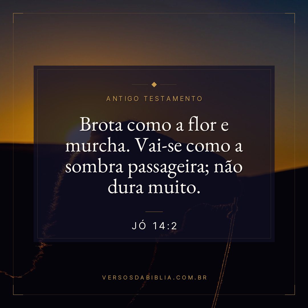 Jó - 14 - 2 - Brota como a flor e murcha. Vai-se como a sombra passageira; não dura muito.