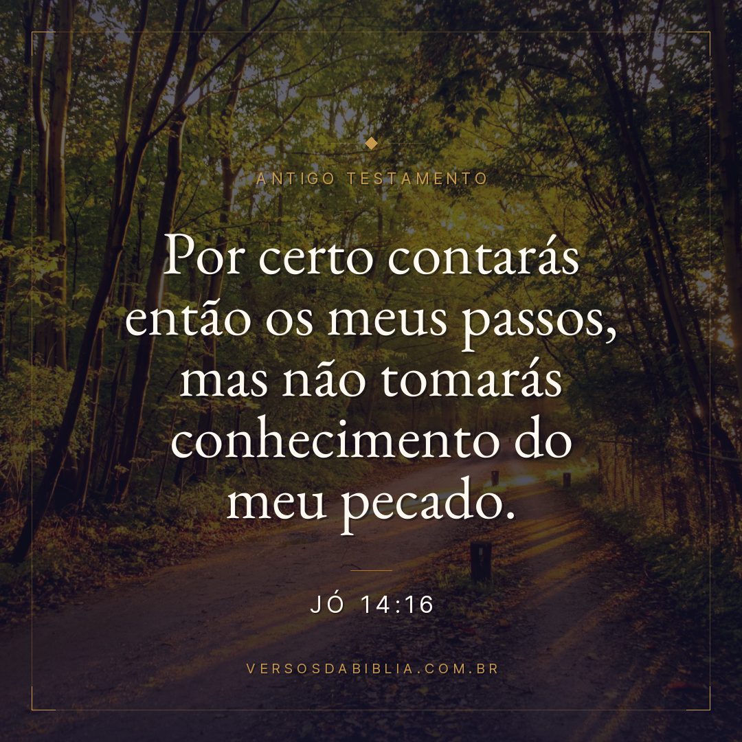 Jó - 14 - 16 - Por certo contarás então os meus passos