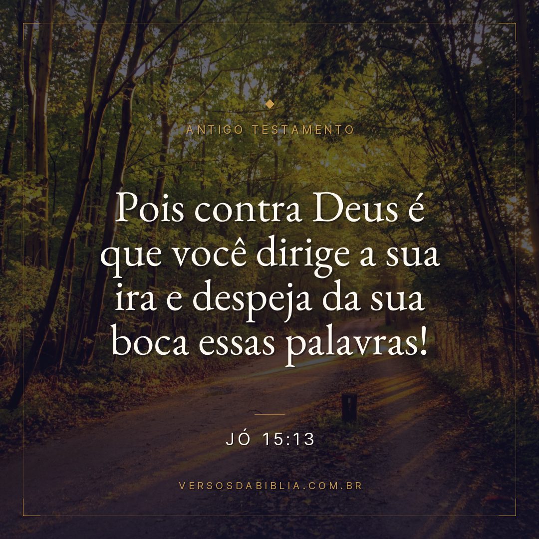 Jó - 15 - 13 - Pois contra Deus é que você dirige a sua ira e despeja da sua boca essas palavras!