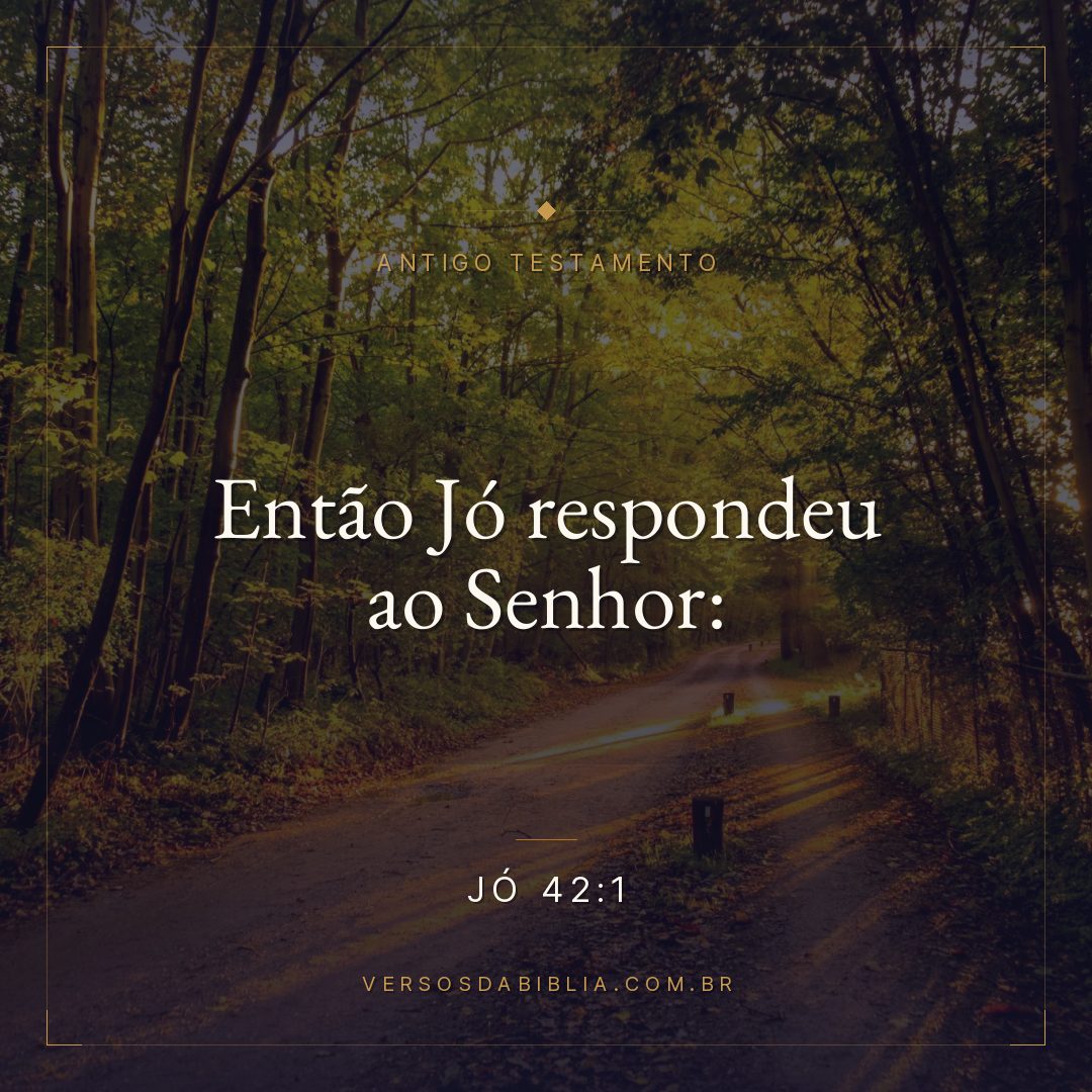 Jó - 42 - 1 - Então Jó respondeu ao Senhor: