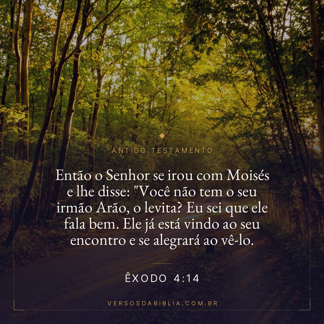 Êxodo - 4 - 14 - Então o Senhor se irou com Moisés e lhe disse: "Você não tem o seu irmão Arão