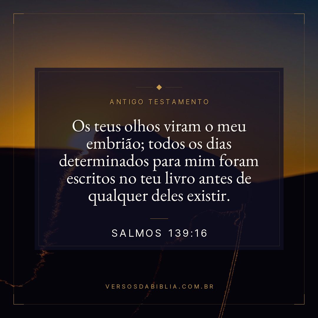 Salmos - 139 - 16 - Os teus olhos viram o meu embrião; todos os dias determinados para mim foram escritos no teu livro antes de qualquer deles existir.