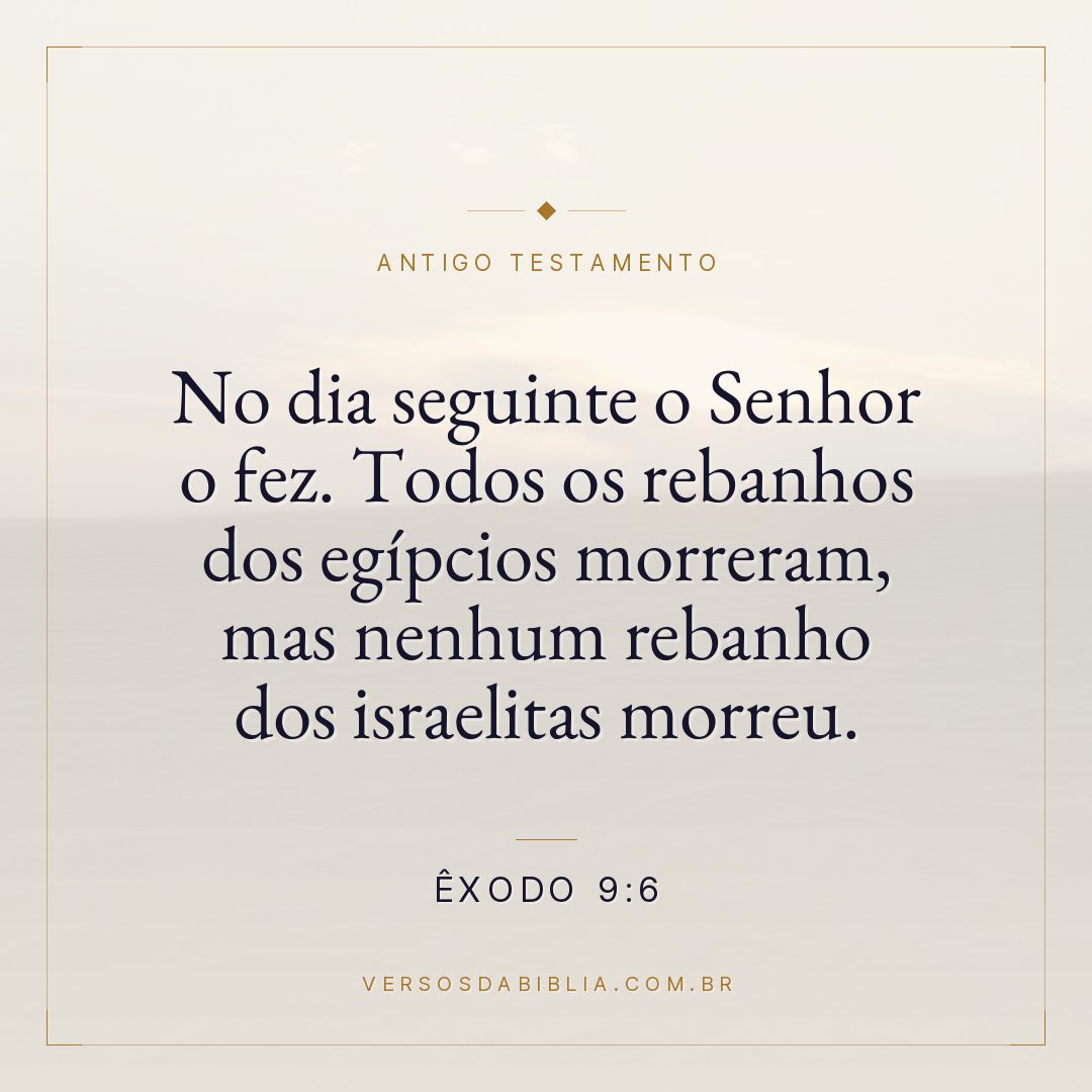 Êxodo - 9 - 6 - No dia seguinte o Senhor o fez. Todos os rebanhos dos egípcios morreram