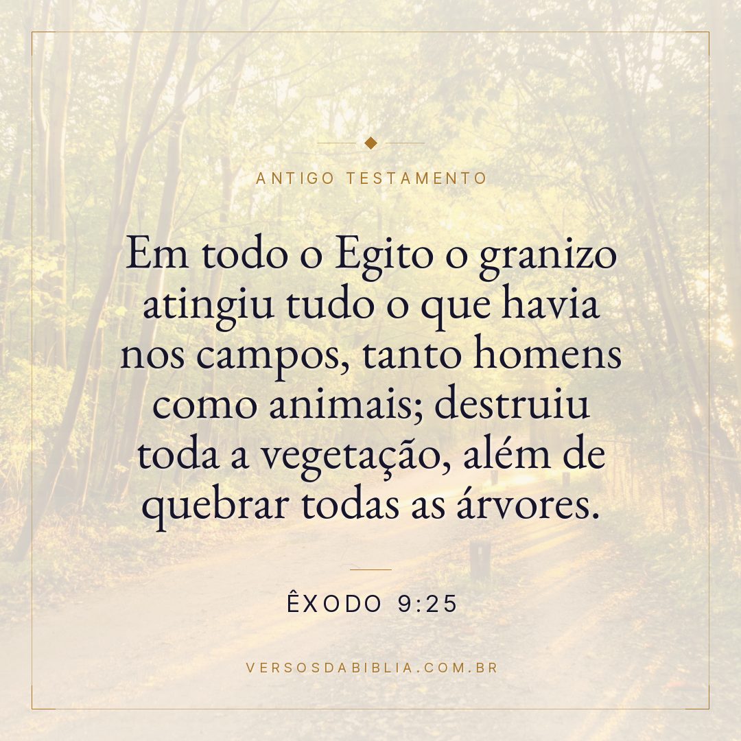 Êxodo - 9 - 25 - Em todo o Egito o granizo atingiu tudo o que havia nos campos