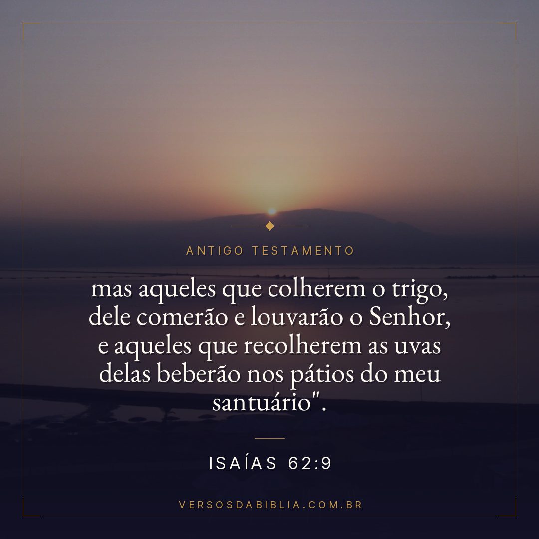 Isaías - 62 - 9 - mas aqueles que colherem o trigo