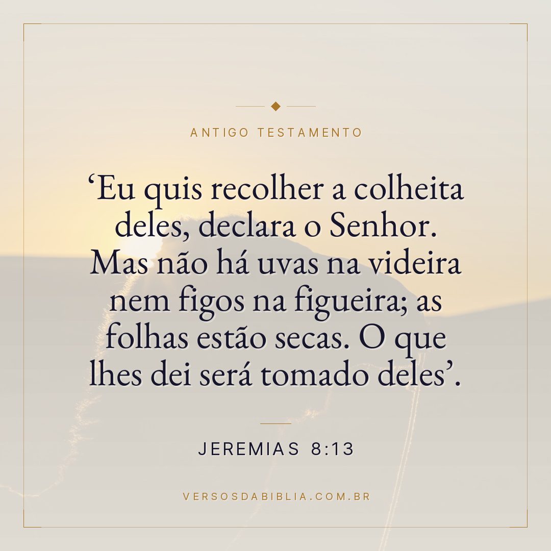 Jeremias - 8 - 13 - " Eu quis recolher a colheita deles