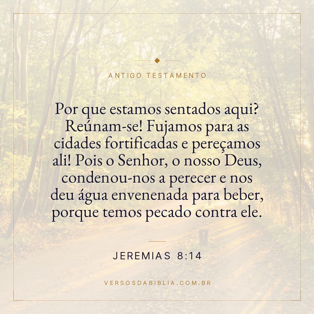 Jeremias - 8 - 14 - "Por que estamos sentados aqui? Reúnam-se! Fujamos para as cidades fortificadas e pereçamos ali! Pois o Senhor