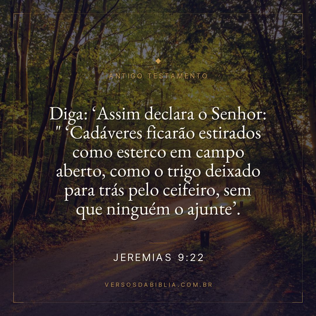 Jeremias - 9 - 22 - "Diga: Assim declara o Senhor: " Cadáveres ficarão estirados como esterco em campo aberto