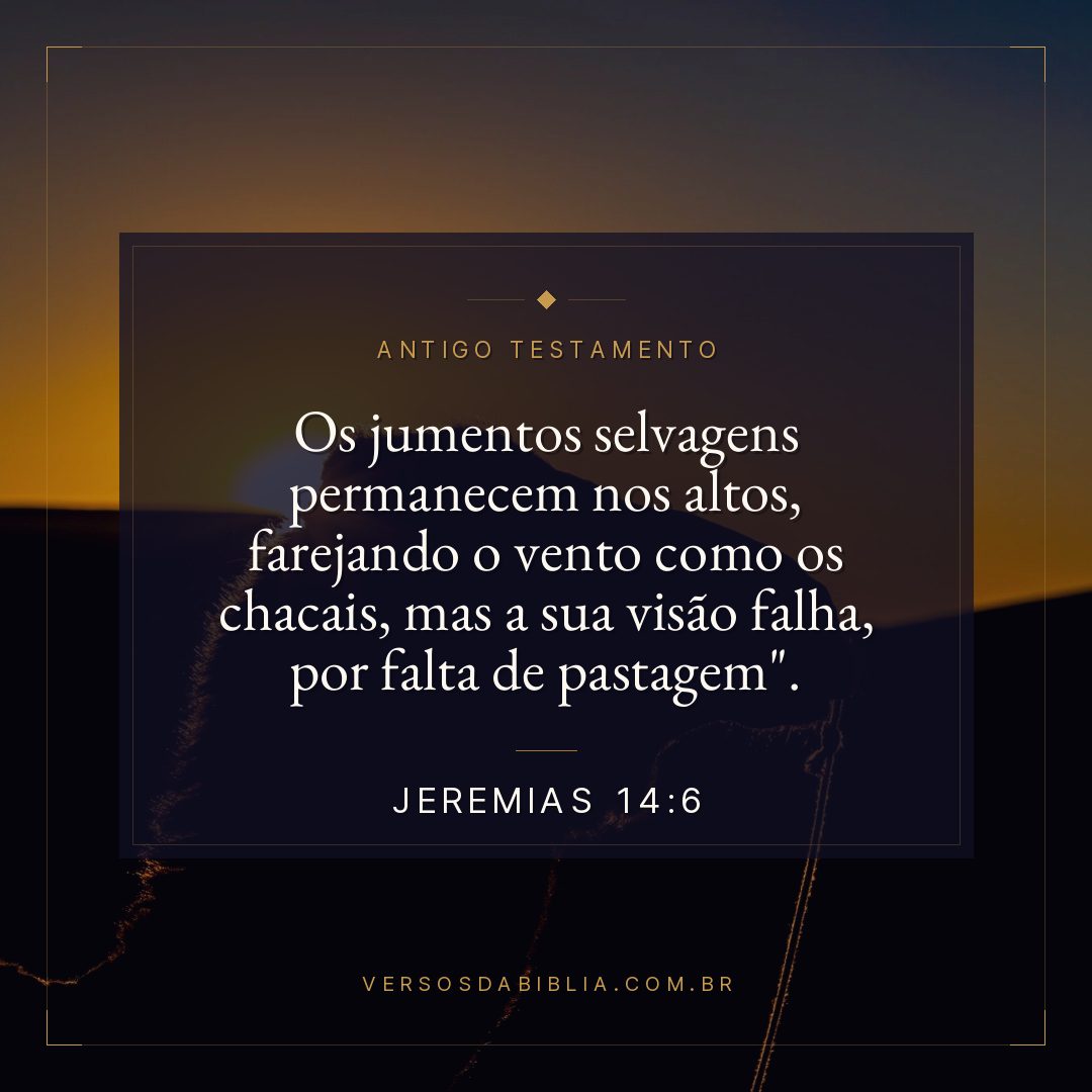 Jeremias - 14 - 6 - Os jumentos selvagens permanecem nos altos