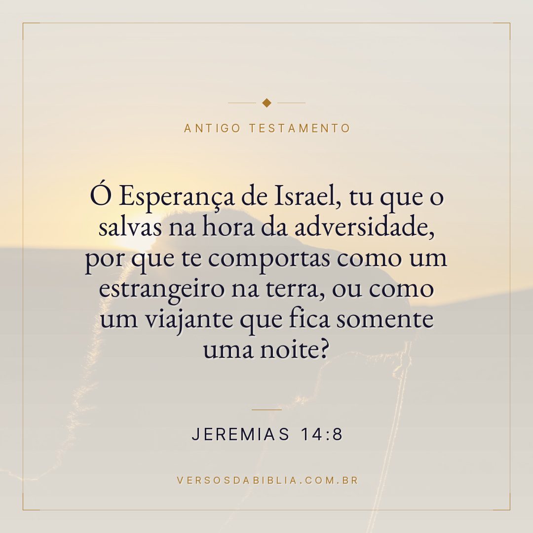 Jeremias - 14 - 8 - Ó Esperança de Israel