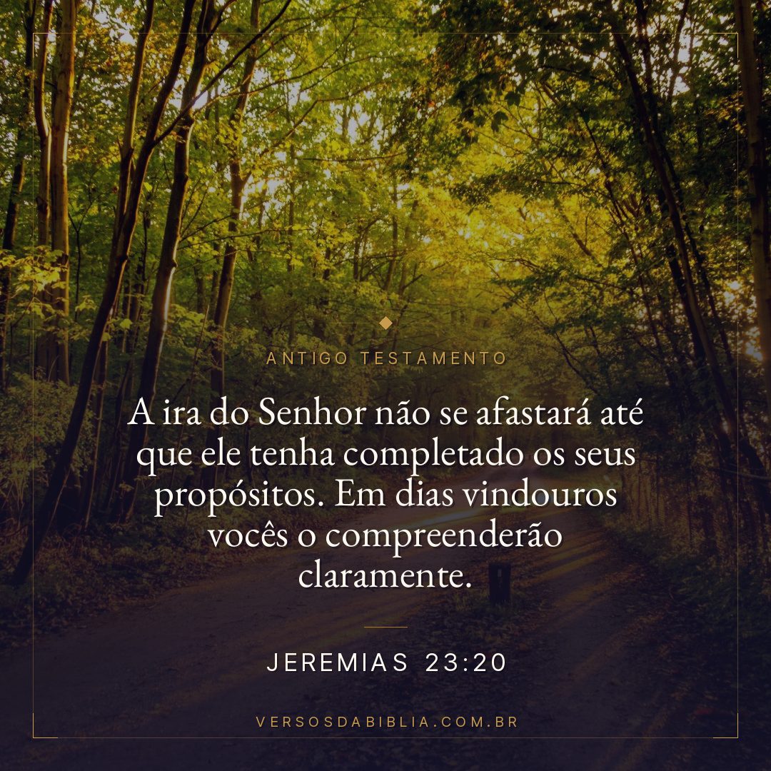 Jeremias - 23 - 20 - A ira do Senhor não se afastará até que ele tenha completado os seus propósitos. Em dias vindouros vocês o compreenderão claramente.