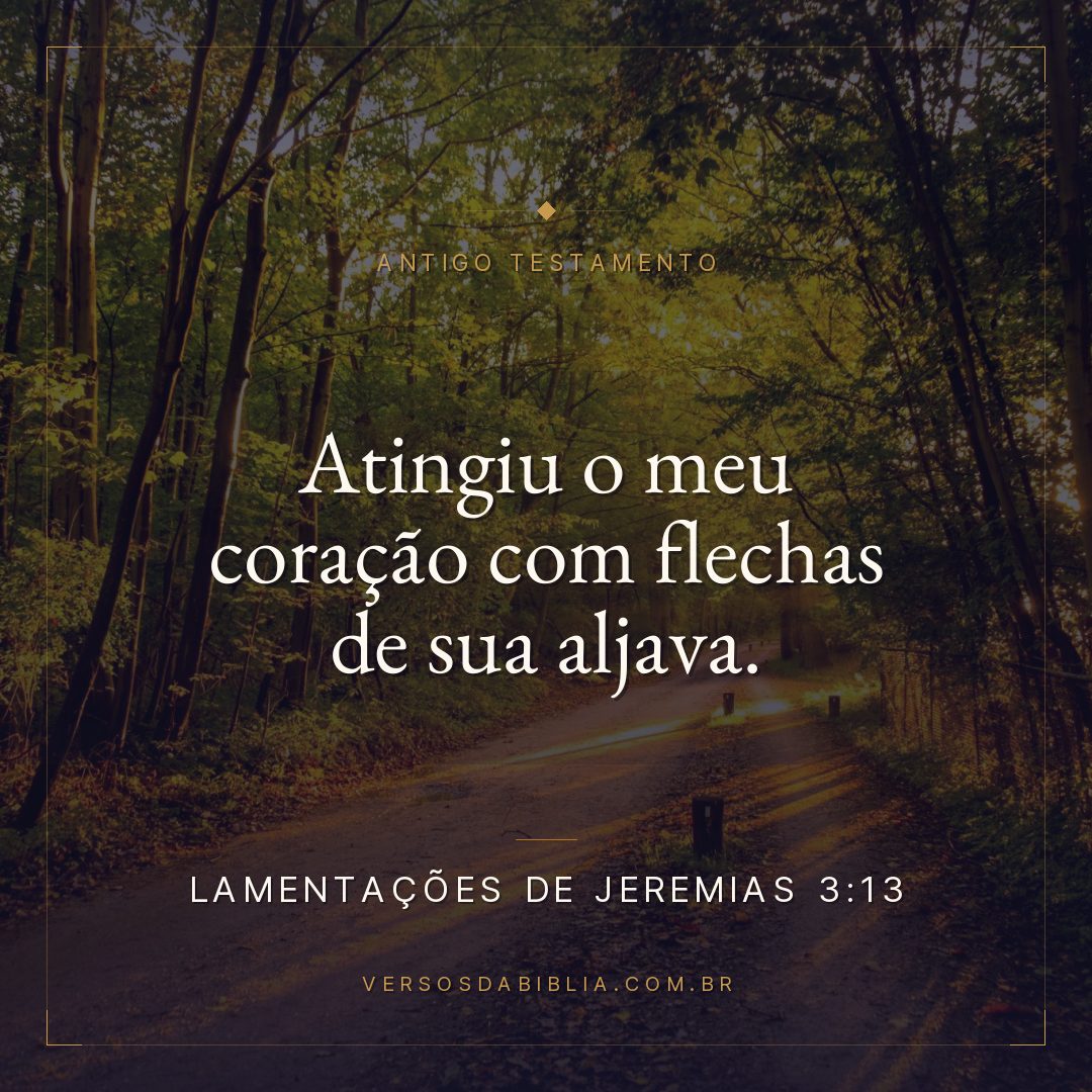 Lamentações de Jeremias - 3 - 13 - Atingiu o meu coração com flechas de sua aljava.