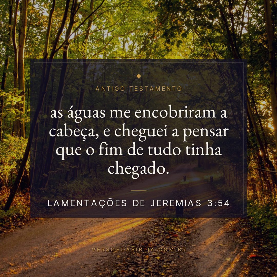 Lamentações de Jeremias - 3 - 54 - as águas me encobriram a cabeça