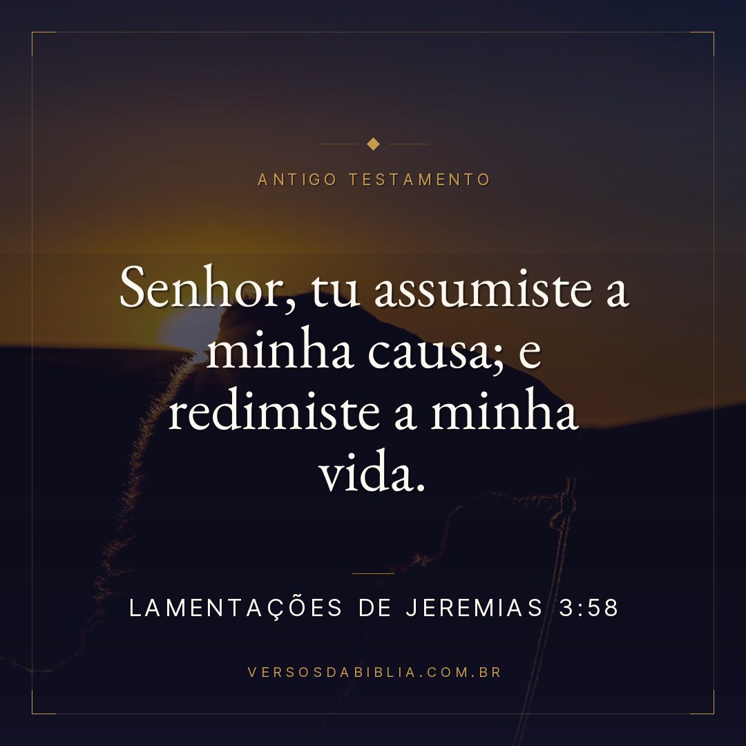 Lamentações de Jeremias - 3 - 58 - Senhor