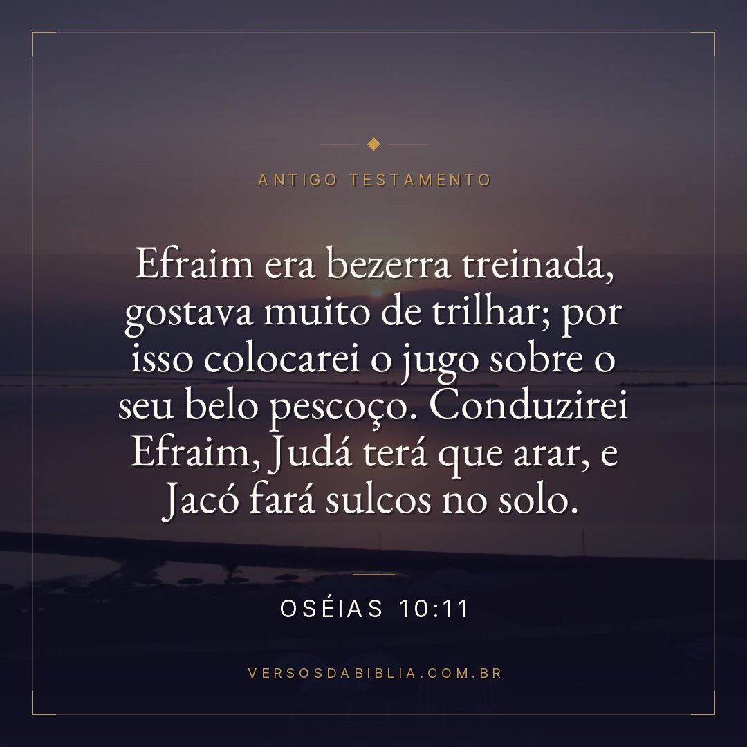 Oséias - 10 - 11 - Efraim era bezerra treinada