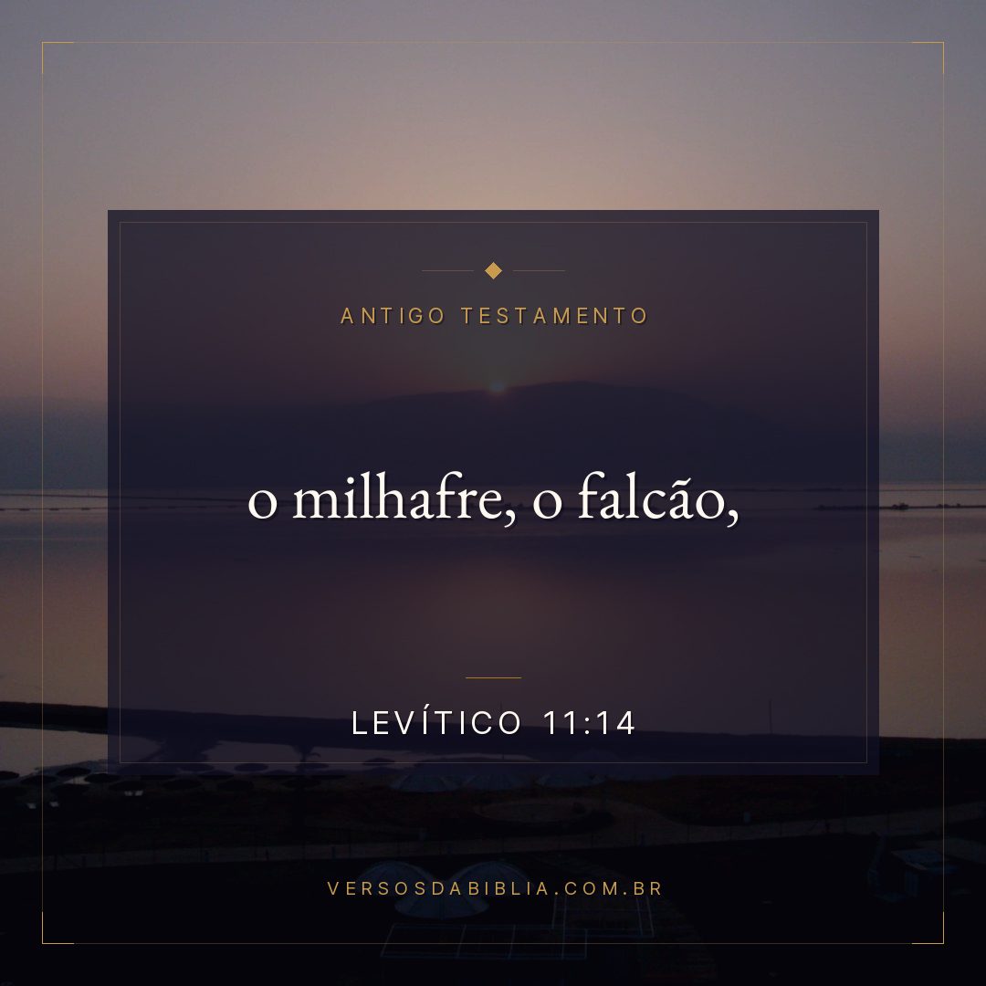 Levítico - 11 - 14 - o milhafre