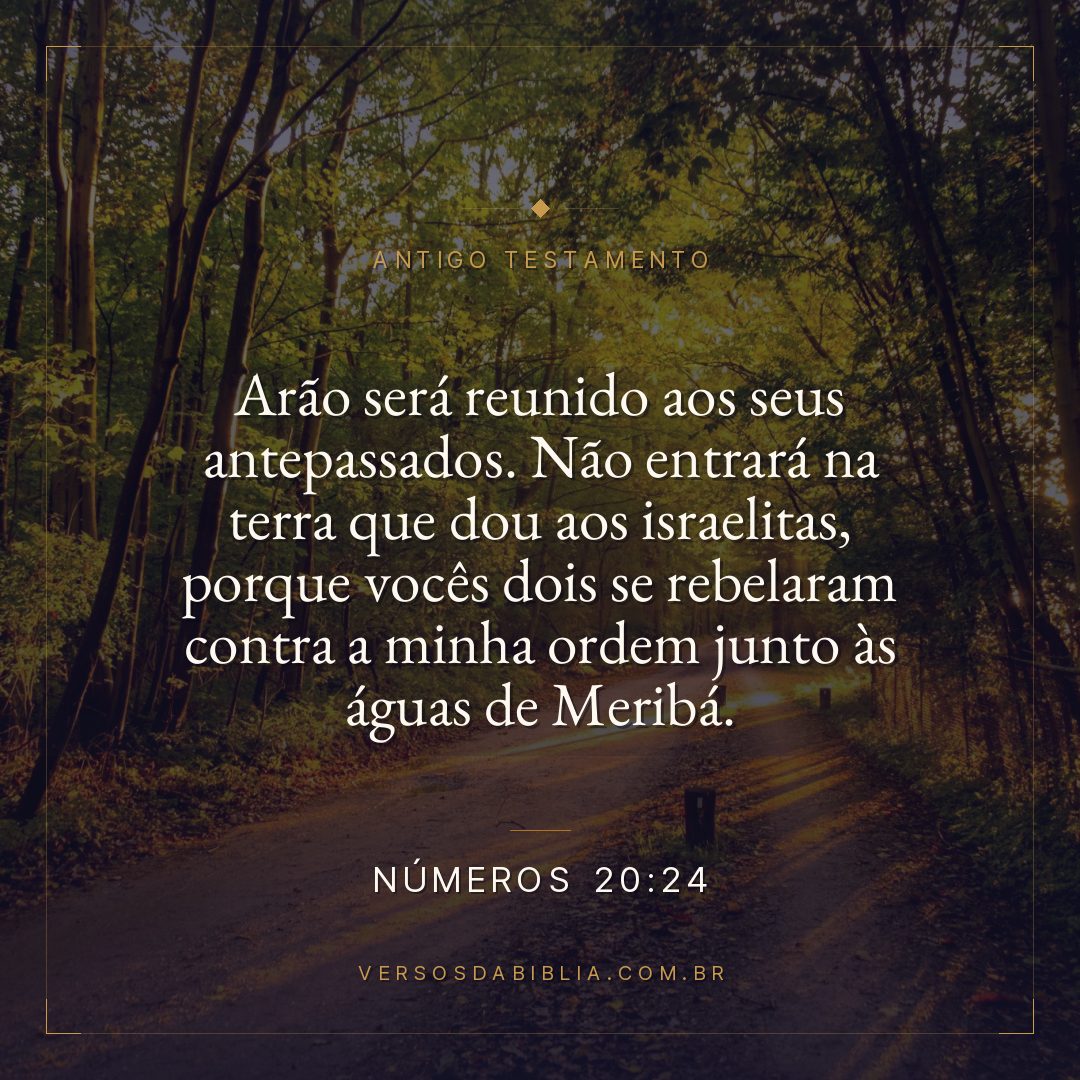 Números - 20 - 24 - "Arão será reunido aos seus antepassados. Não entrará na terra que dou aos israelitas